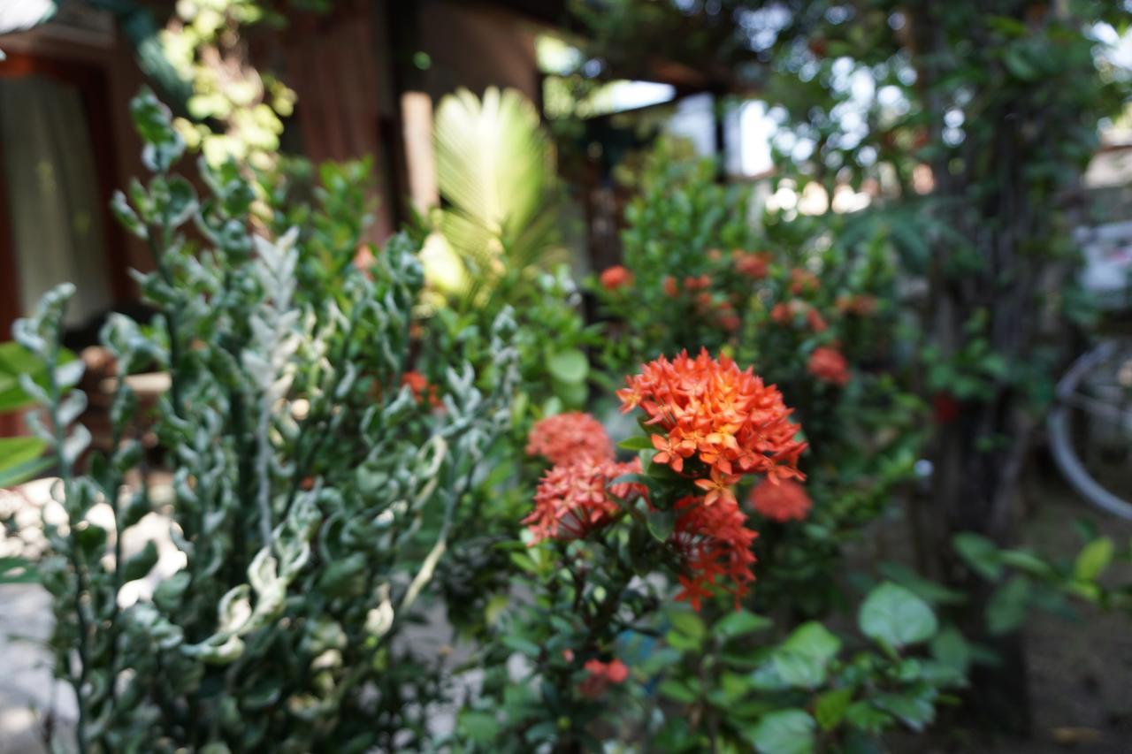 Salon De Nomad Gili T. Bed & Breakfast Джили Трауанган Екстериор снимка